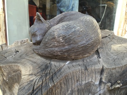 Cat on log