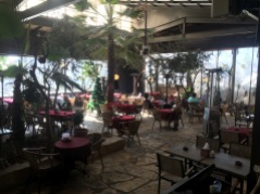 The restaurant was like an oasis compared to its surroundings.