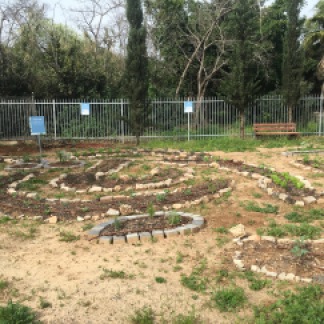 Some of the vegetable gardens that Bina students are creating.