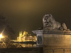 View of the Parliament building with the lion of the Chain Bridge in the foreground